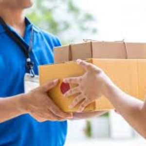 Courier Services