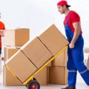 Movers And Packers