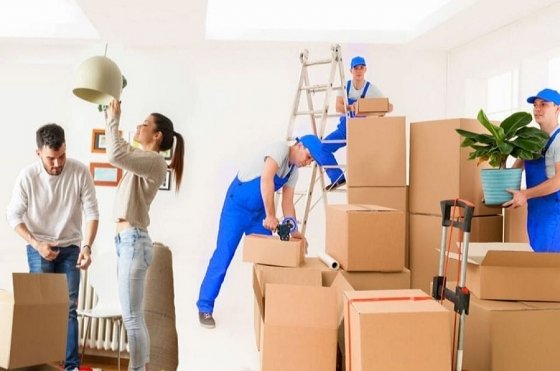 Expert Movers and Packers Dubai United Arab Emirates