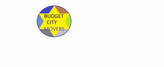 BUDGET CITY MOVERS & PACKERS L.L.C 055 6254 802