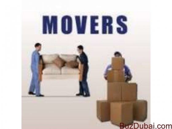BUDGET CITY MOVERS & PACKERS 055 6254 802