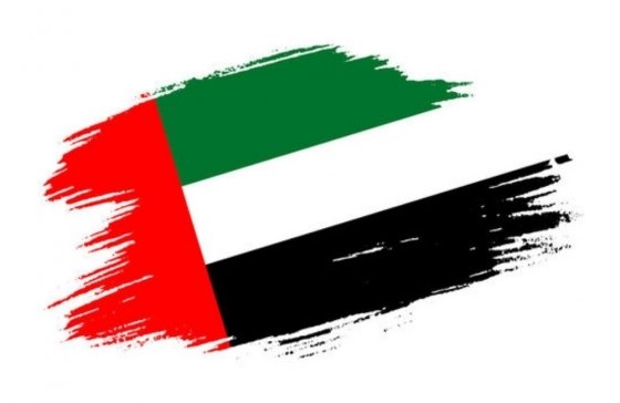 Best Moving Company in UAE