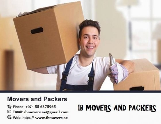 Al Ain Movers And Packers 055 6375 965